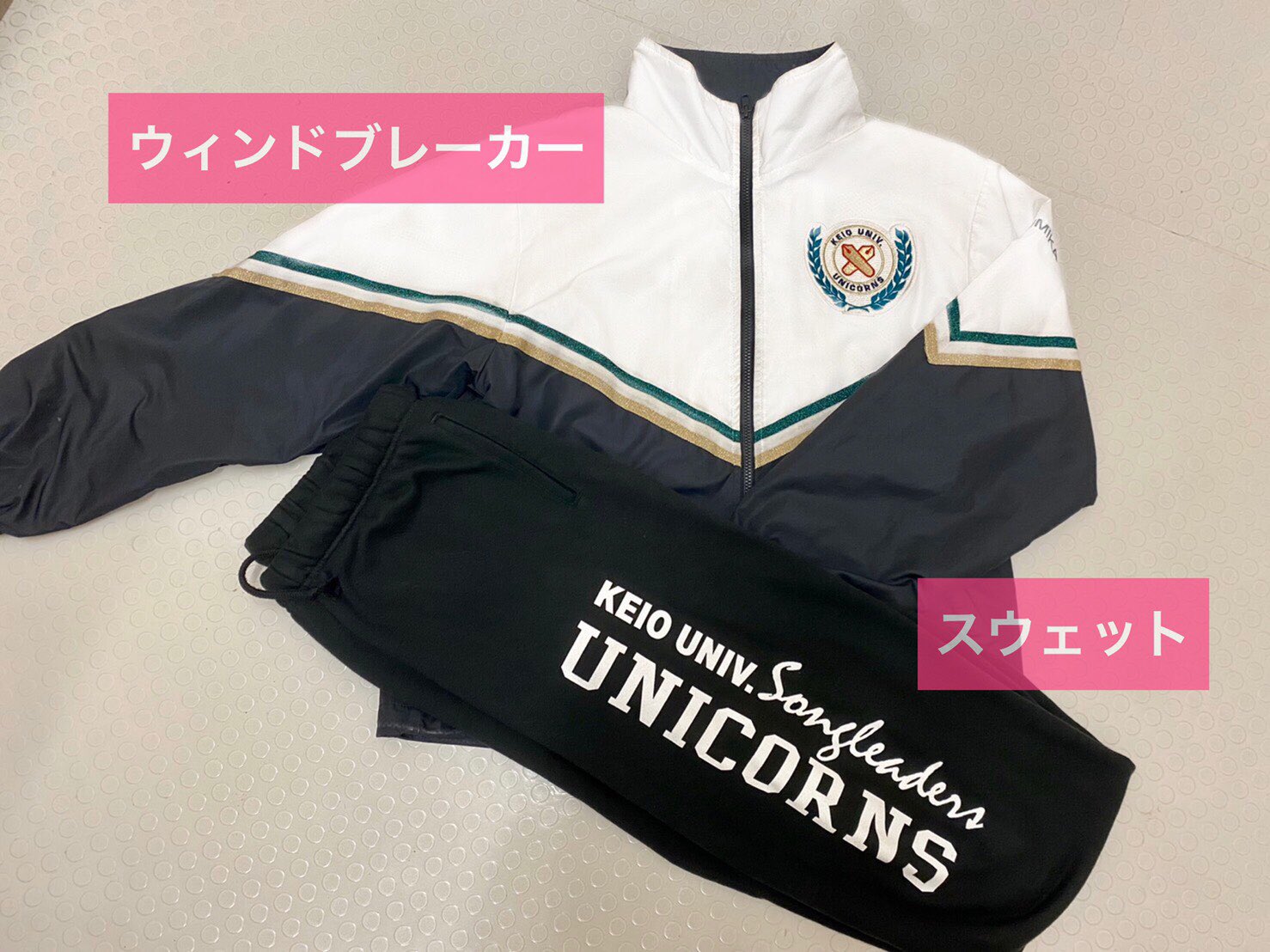 慶應義塾大学 チア ウィンドブレーカー