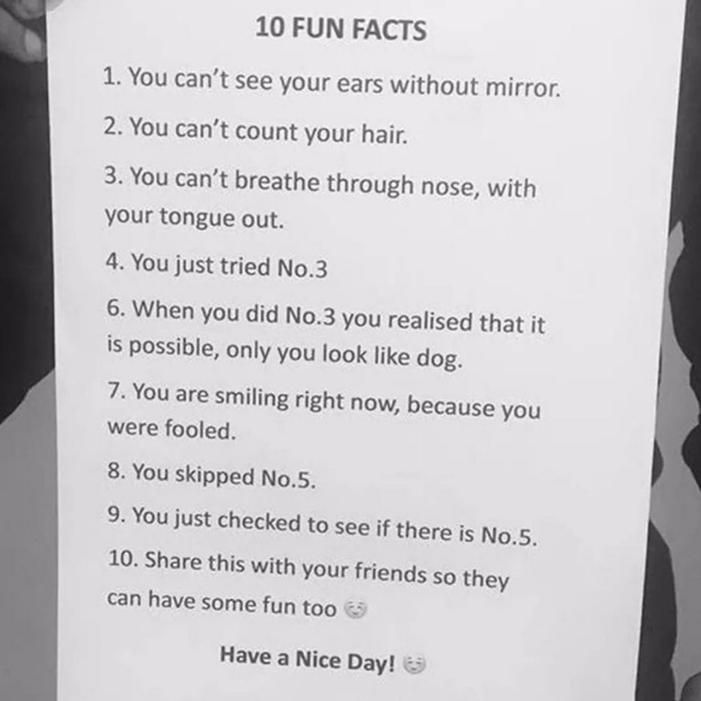 EVABARIKA™ tweet media