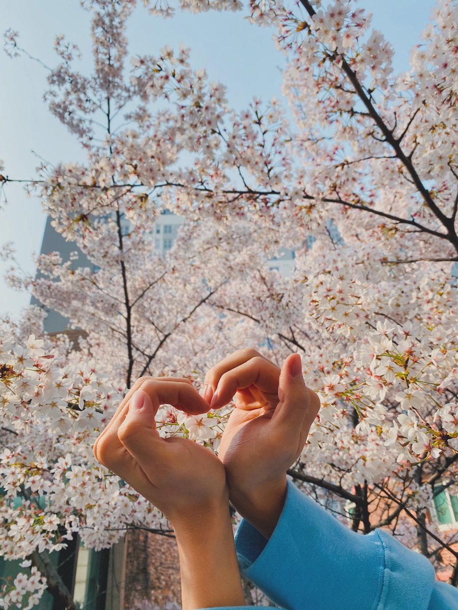 얼른 보고싶다 내편들 🌸 여기는 회사 테라스예요!
마스크 꼭 챙기고, 손 잘 씻구, 외출은 자제하면 좋을거같아요 우리 다 같이 이겨내요! 

#CIX #FIX #승훈 #김승훈 #내편들 #코로나조심 #외출자제