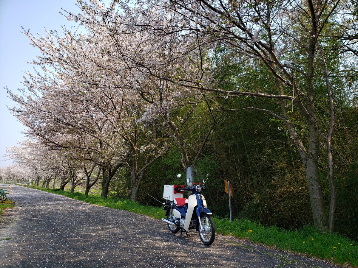 ZRoku's tweet photo. カブ日和 https://t.co/Wu6JglbNvz