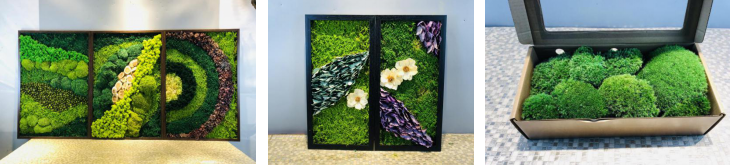 flowerexpochina's tweet photo. Preserved Moss Arts: Newest Trend in China’s Interior Decoration https://t.co/2A4prqjfxb https://t.co/qebBJDmjgg