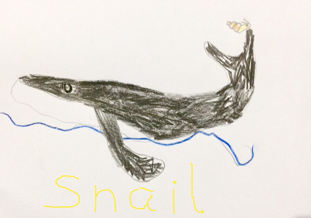 BsVfoundation's tweet photo. We love story time, we pay attention looking and listening carefully because we have to answer questions. And do you know what is the teacher’s favourite part? When we do our amazing drawings #StoryTimeIsFun #ListeningStoriesAtHome #LovelyDrawers #BSV #CognitaWay @BritishValencia https://t.co/z1WTWePB2x
