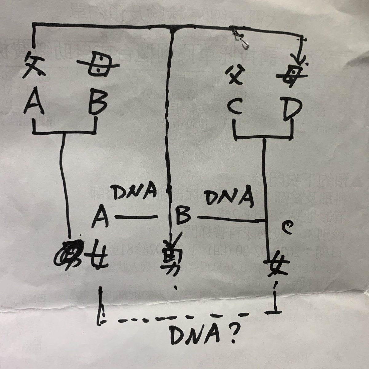 Zmx 家長傳訊問我a女 B男 C女可不可以結婚 我是不是參加了什麼倫理劇顧問 答案是沒有收養關係下a女跟c女可以結婚 Zmx 家長傳訊問我a女 B男 C女可不可以結婚 我是不是參加了什麼倫理劇顧問 答案是沒有收養關係下a女跟c女可以結婚