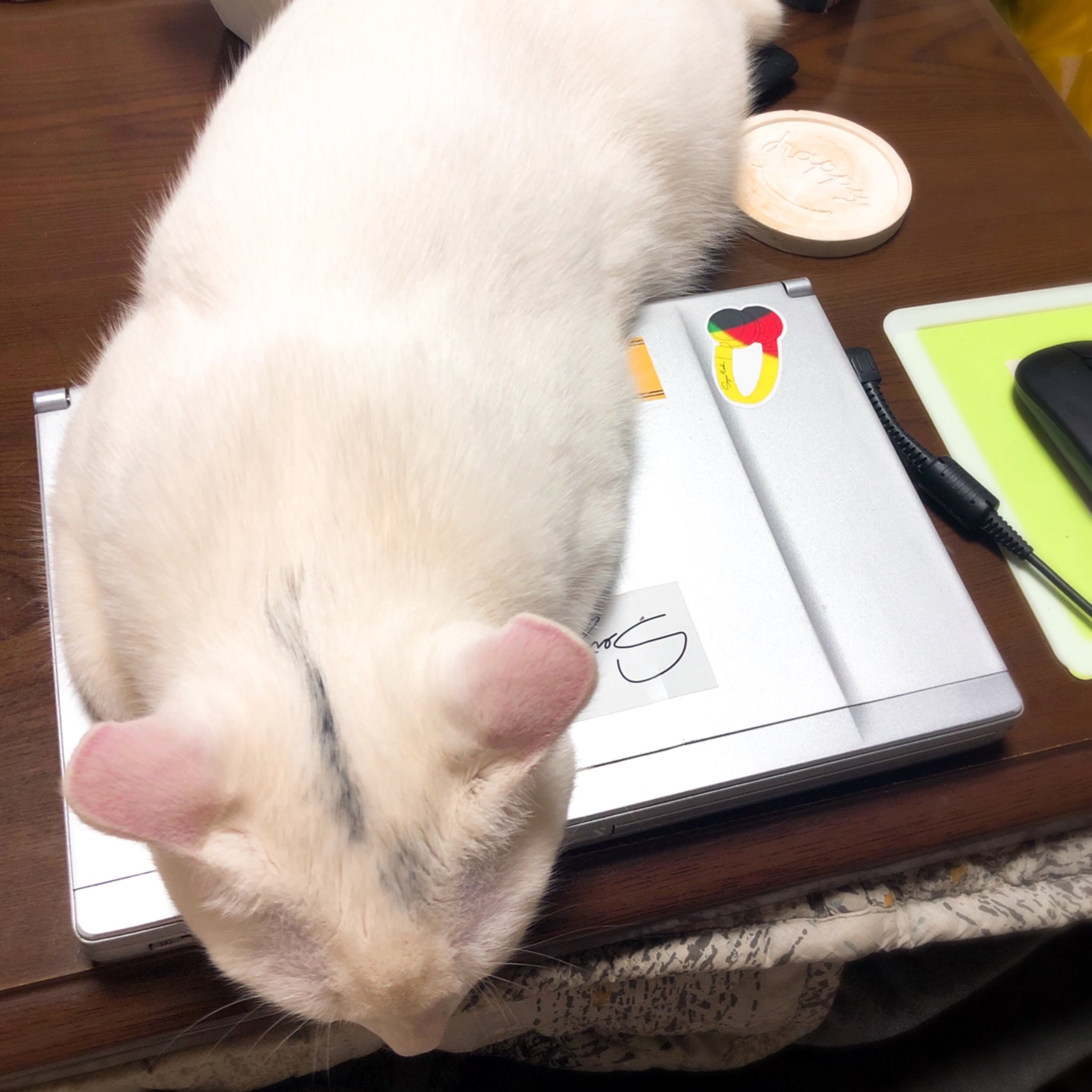 Arsnova Mmo いや それだとそもそもパソコン開けないから T Co Am1vqs8af3 Twitter