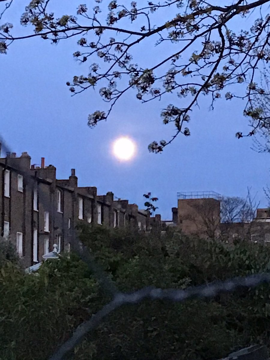 The supermoon rising over London last night. A beautiful yet eerie omen over a silent city sheltering from the virus.