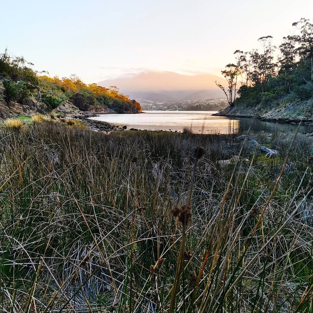 RealeLearnGood's tweet image. Any guess where I might be? instagr.am/p/B-tiZhQjLIv-…