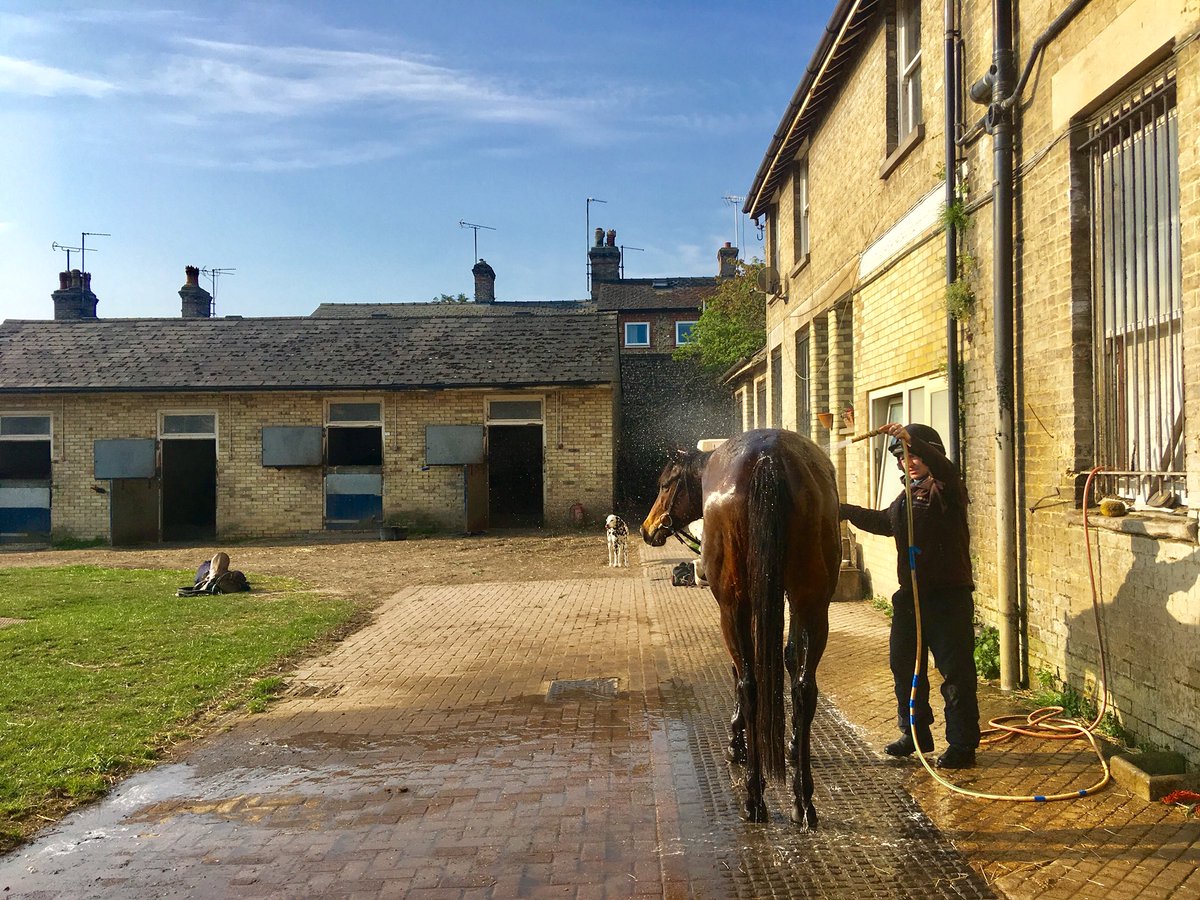 JohnWathenBerry's tweet photo. Nothing beats a shower after work on a warm day @NewmarketGallop #HopeIsHigh https://t.co/WmLIN1GqEu