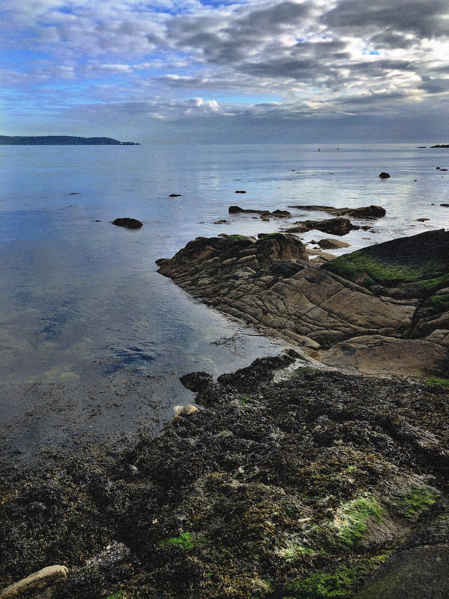 64_Wine's tweet image. Stillness #Glasthule