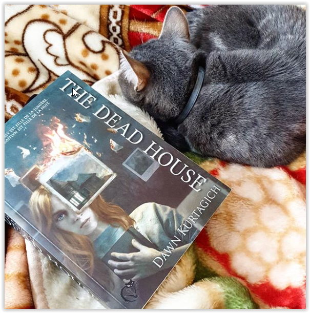 VibrationLitter's tweet photo. Mon avis sur #thedeadhouse de @dawnkurtagich chez @EdChatNoir 

https://t.co/NvaLbVHISh https://t.co/xbkEYoKdPX