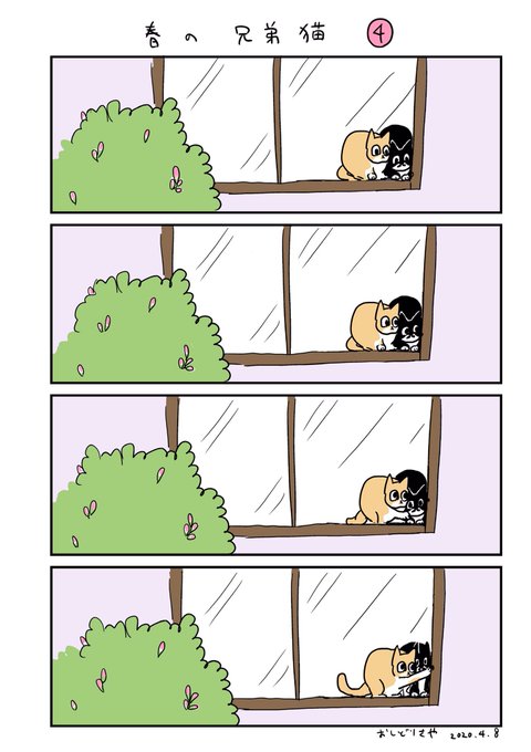 兄弟猫のtwitterイラスト検索結果 古い順