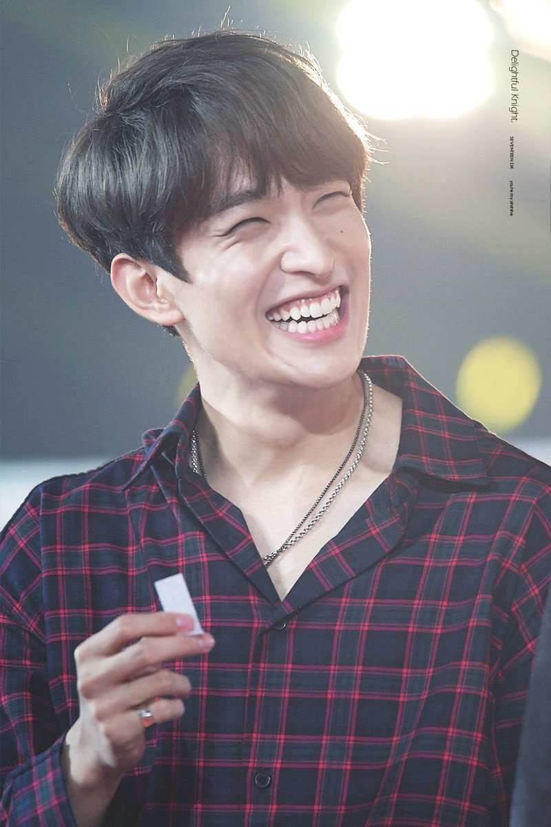 The boy that has the brightest smile, who really is talented and sweet  @pledis_17's DK