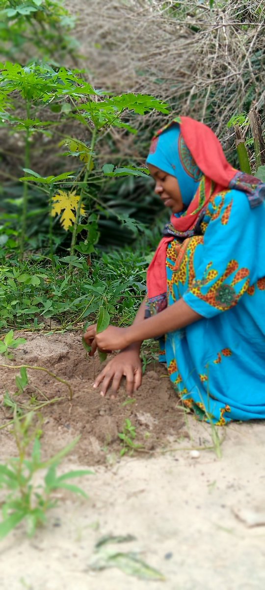 Neychriss2's tweet photo. Plant a treeππ earth day challange accepted πππ fruits will grow after yearsππ always @Ghaamid_Mavura
@zuhuraAhmadd
@EarthDayNetwork we are together https://t.co/nCNSx557Xy