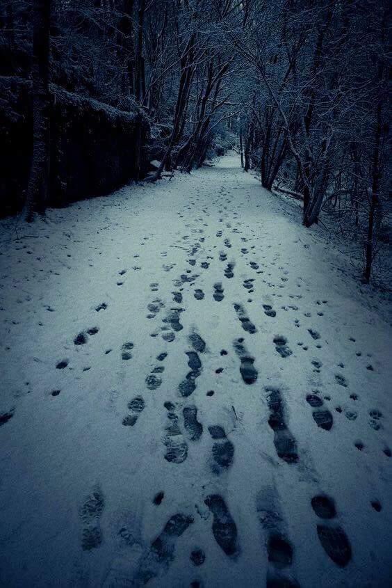 منذ كنت طفلاً كنت أكره الوداع ، كلمة الوداع بالنسبة لي تعني شكلاً مصغّرا من أشكال الموت .
- لوركا