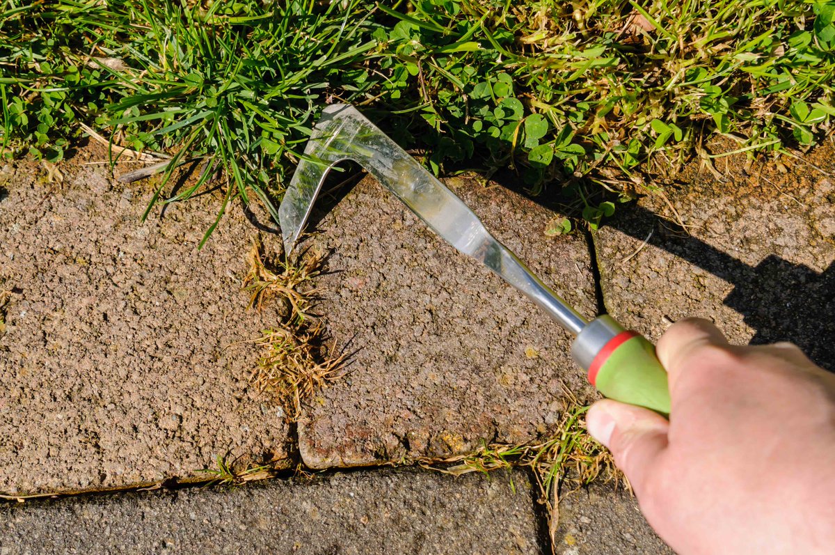 bartongrangegc's tweet image. Weeds pop up in even the smallest of spaces! Spraying weed killer on your paths and driveways will help you keep in control of them. What a difference it'll make too! Now that's a good job for the weekend.

#weekend #gardeingtips #diy