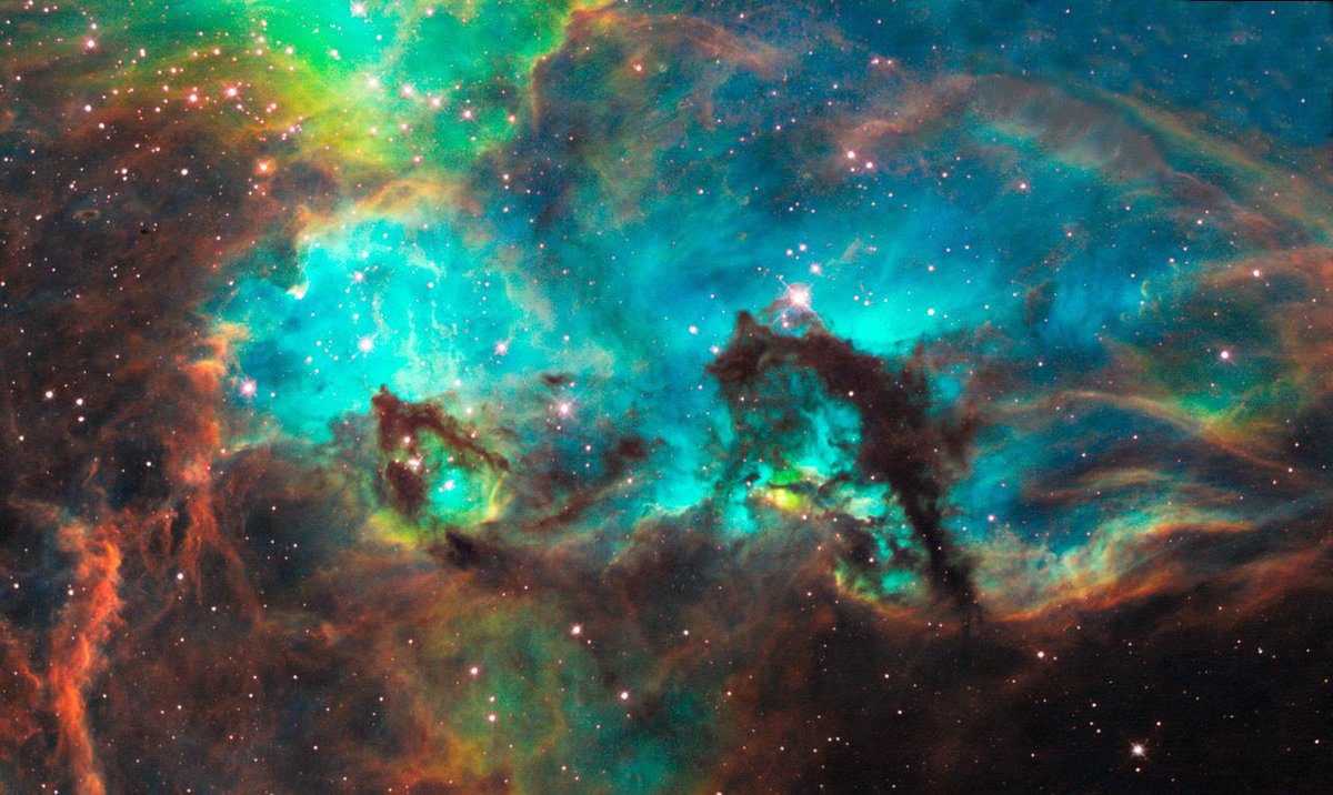  @zenyanna this is the seahorse nebula and i love her so much look at those COLORS
