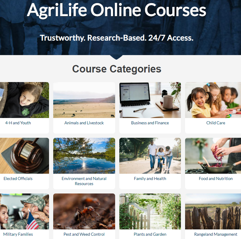 Jim Cathey tweet media