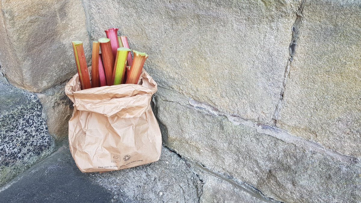 And...how kind...the retired architect who lives other side of our lane in #ToonArchitectsville has just left us some rhubarb on our doorstep... freshly cut from his garden ❤
#WFH #sociallydistancedrhubarb 
#dayinthelifeofanarchitect #COVID_19uk #community 👋