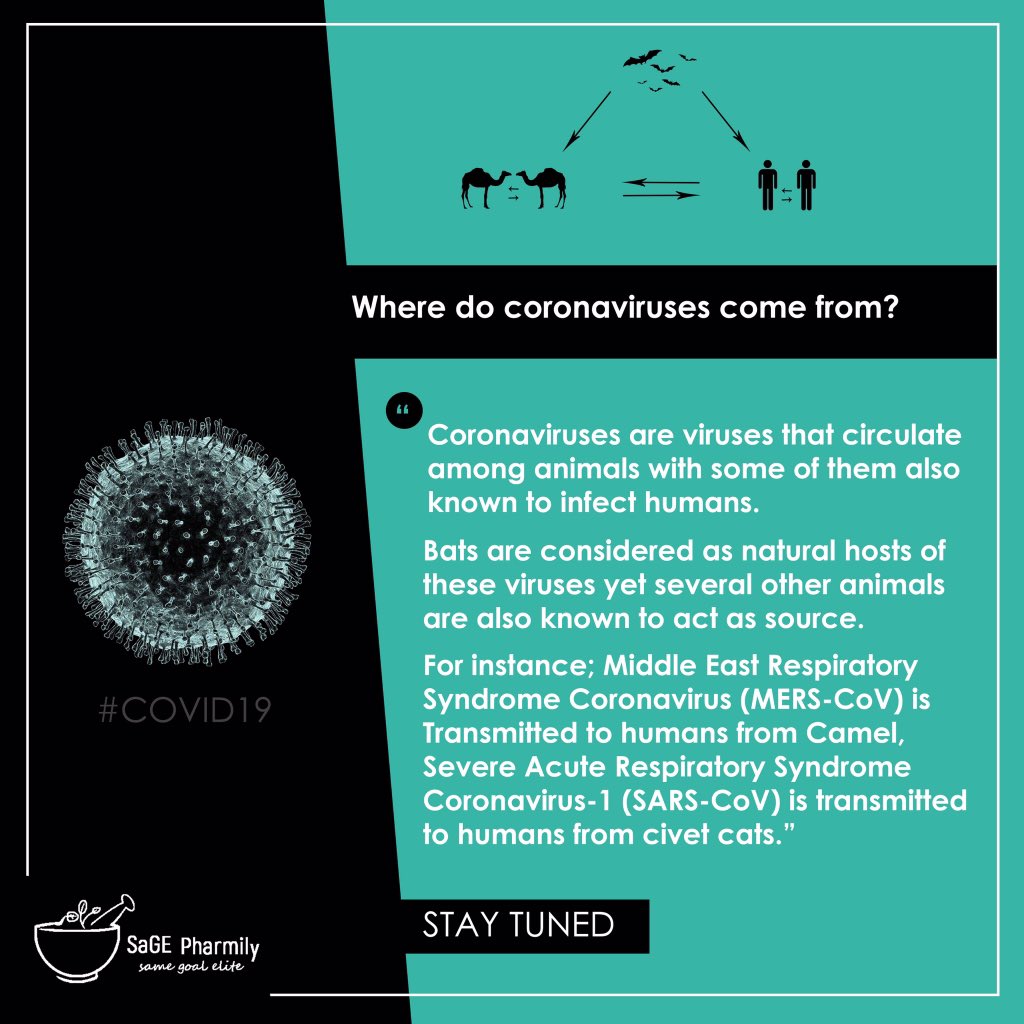 sagepharmily's tweet photo. Where do coronaviruses come from?

Do you ask yourself the same question too!? 

We got you!! 

#SaGEActs
#StayHomeStaySafe 
#FightCovid19 
#StayTuned https://t.co/QjpB4T3np5