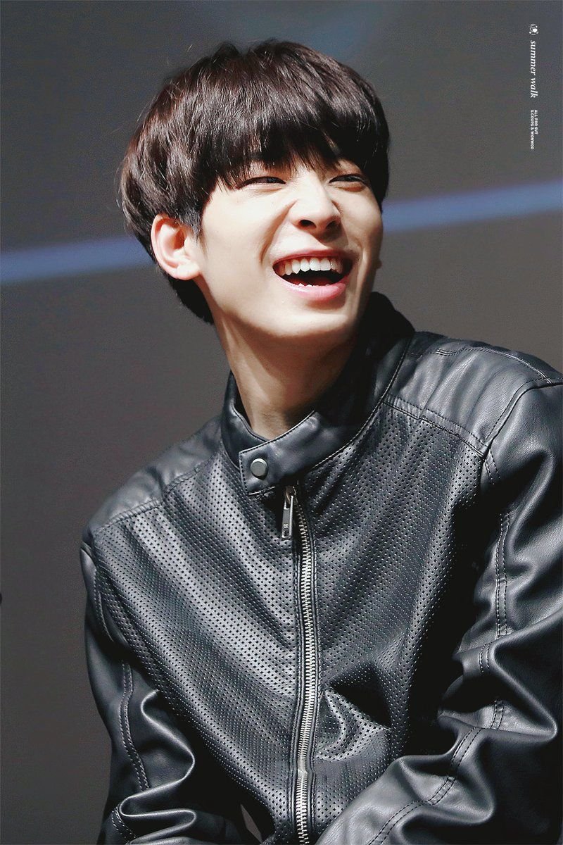 The other cat in seventeen who has one of the sweetest smiles with his cute nose crunch,  @pledis_17’s Wonwoo