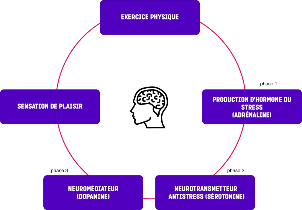 Que se passe-t-il dans la tête d’un sportif de l’extrême lors de la pratique de son sport? #mbadmb #lesxperts #restezchezvous #efapathome #onalapatate