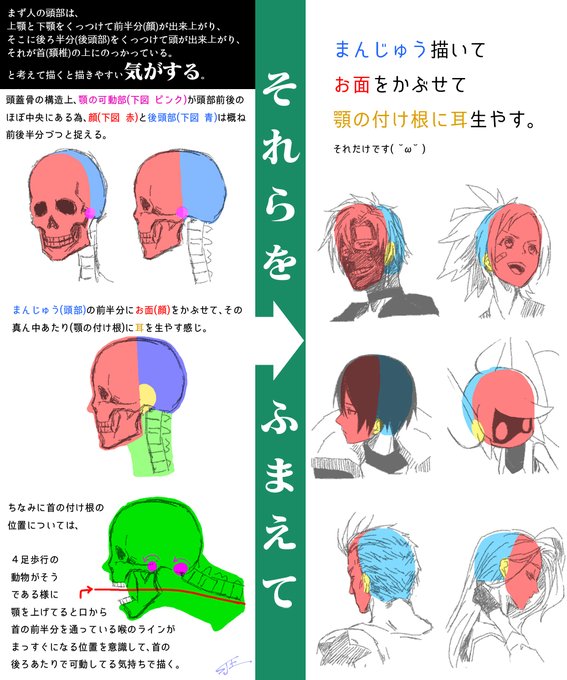 先日、キャラクターの横顔を描くのが難しいという人を見かけたので、最弱王が人の頭を描く時に意識していることをまとめてみました( ˘ω˘ )

参考になるかは・・・・・・あなた次第!!(無責任) 