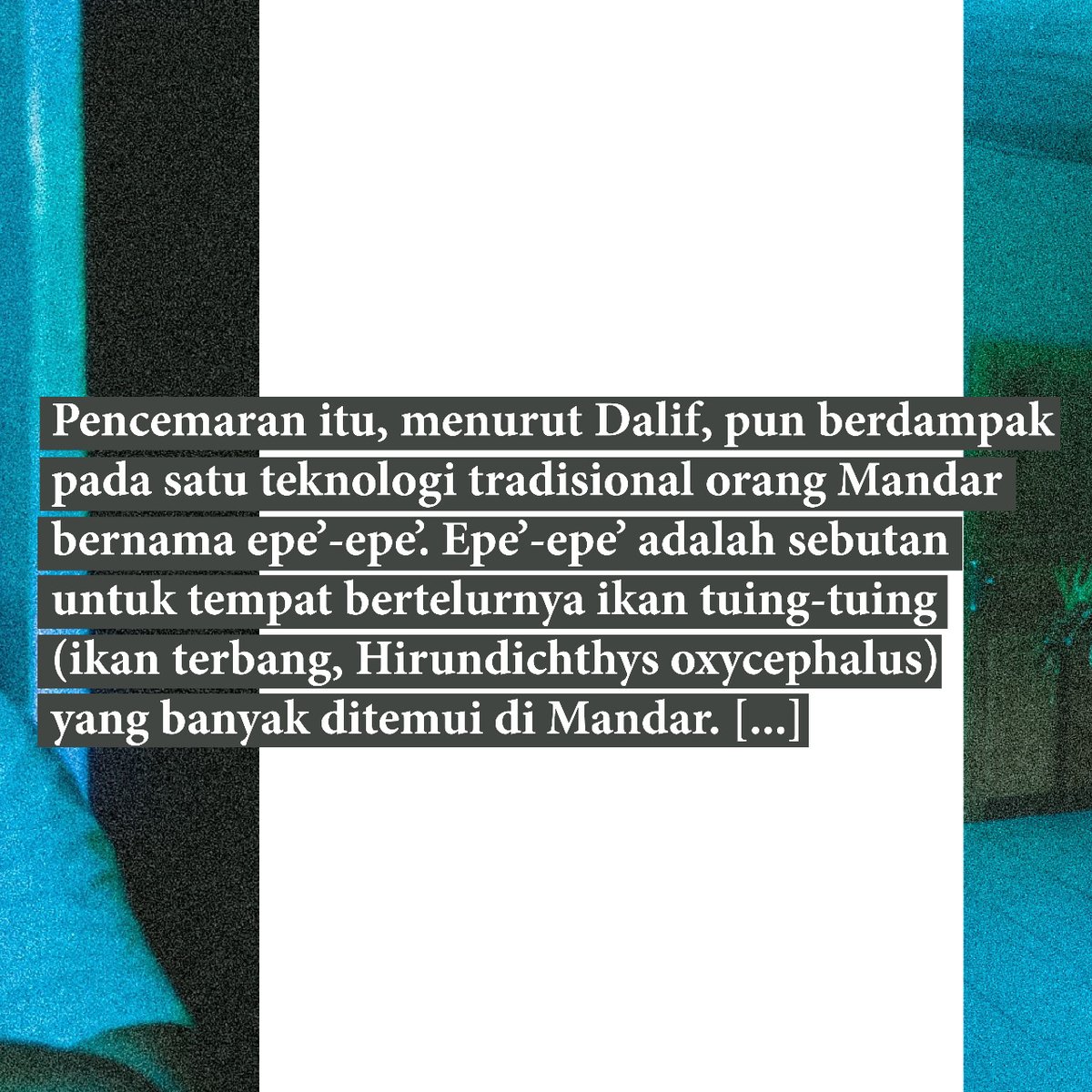 artefactmaya's tweet photo. Karya Dalif merespons dampak sampah di wilayah Teluk Mandar, utamanya terhadap ikan tuing-tuing. Lebih lengkap, baca https://t.co/rPyNb9A5GR https://t.co/Iub6qkr1fi