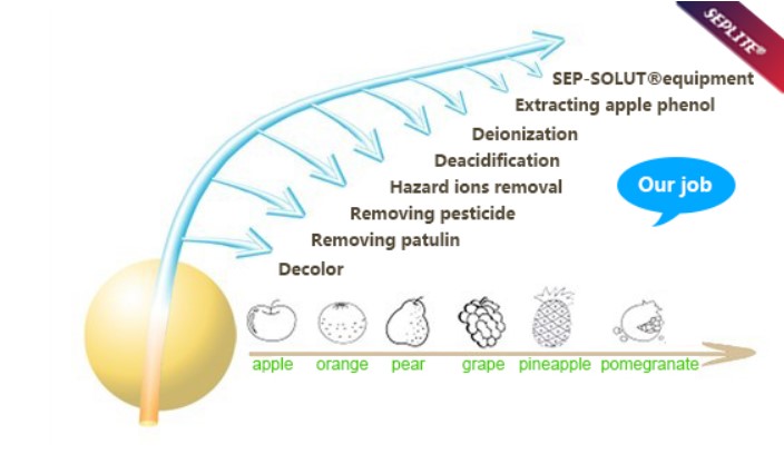 sunresin's tweet image. Our #IonExchangeResin typical application for #FruitJuice
#Decolorization
#RemovalPatulin
#RemovalCarbendazim
#RemovalNitrate
#RemovalHeavyMetals
#Deashing
#CitrusJuiceDebittering
#RemovalAcid
#HMFremoval
Click learn more:seplite.com/fruit-juice/