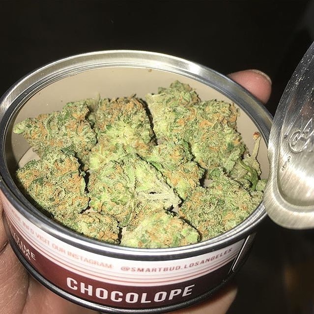 plugkali's tweet photo. Snapchat: medsp20

#paris15 #paris14 #paris18 #nantes #pontoise #nanterre #creteil #versailles #Saintdenis #beuh #shit #cannabis #cocaine #evry #melun #Beauvais #chartres #Evreux #laval #Angers #vannes #Brest #Angoulême https://t.co/t22gDvyJyk