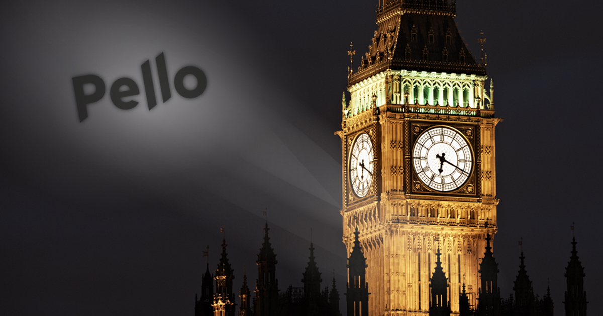 Pello Capital tweet media