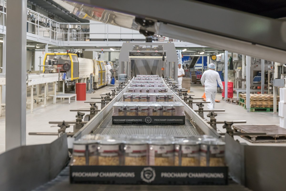 rene_smal's tweet image. Ik zoek met spoed een ASSISTENT PLOEGLEIDER voor Prochamp in Velddriel. Internationaal producent van conservenchampignons. Dynamische en uitdagende job! Voor meer info: lnkd.in/gZeagxr

Geïnteresseerd? Neem dan snel contact op met René Smal 06-57594855

#vacatures