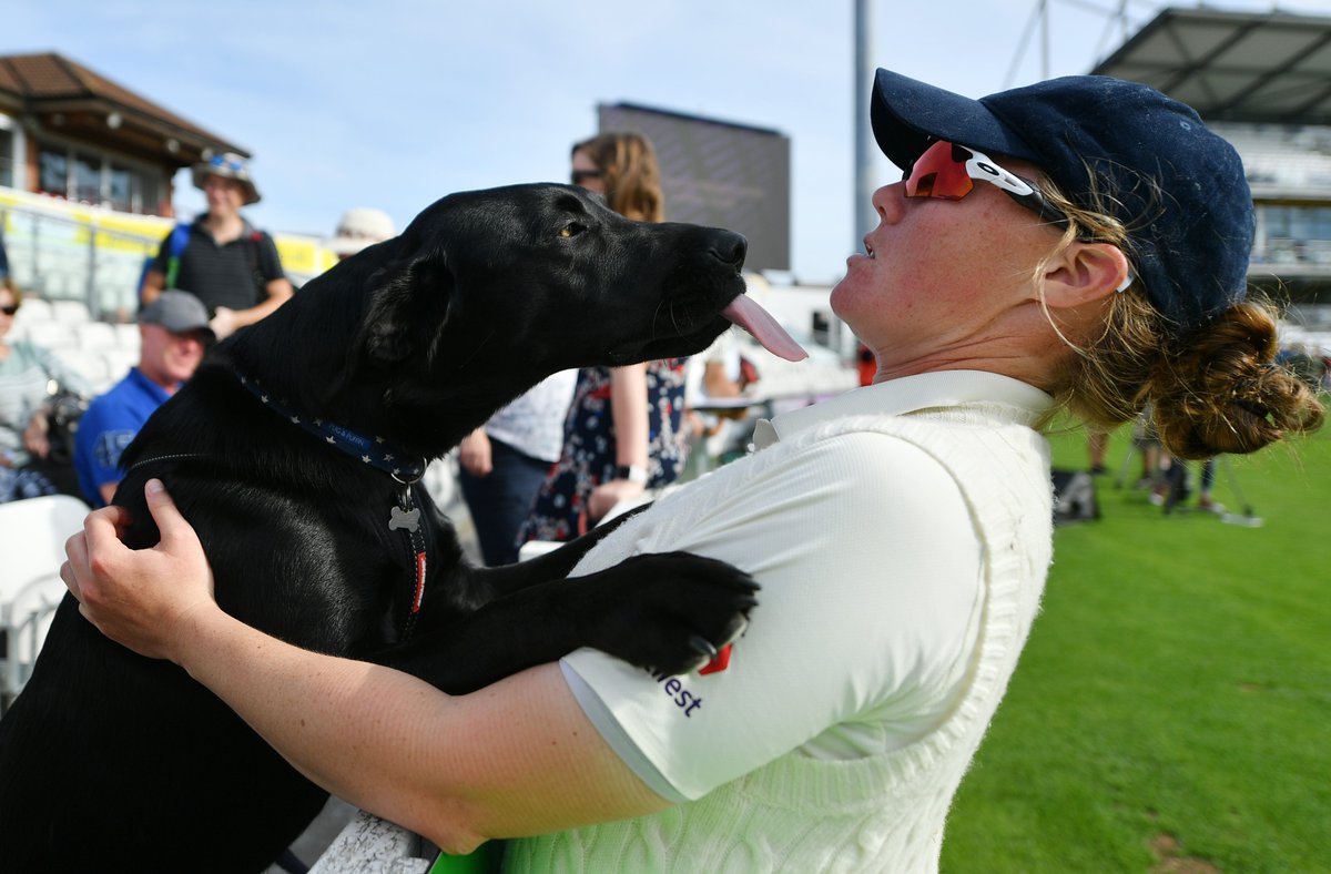 Doggos of cricket A thread 