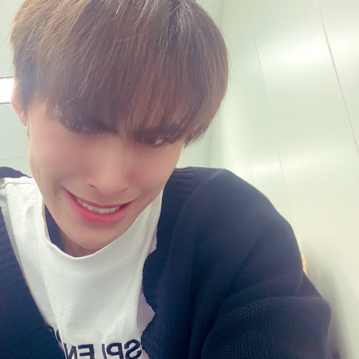 あんこ (@ankohki) / Posts / X