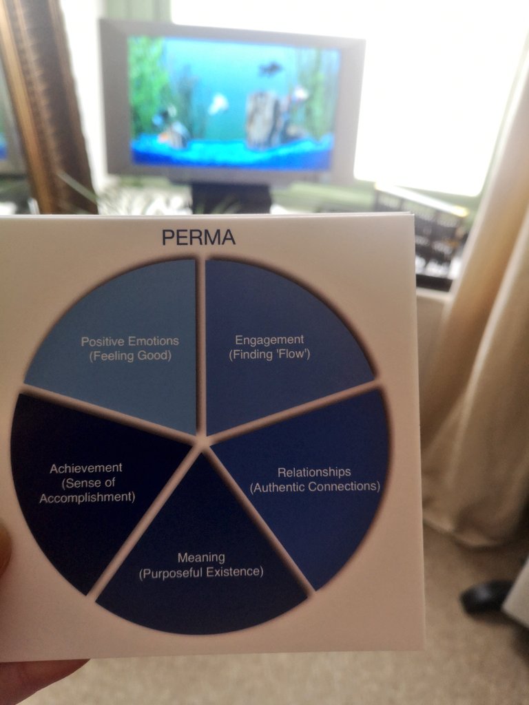 We often wait for signs/ symptoms to show before we take action with our physical and mental health. Why wait? At the <a href="/HealthDispensar/">The Health Dispensary</a> we have been supporting our Pharmacy Team by being there with weekly wellbeing support! #PpositivePsychology #Prevention #Wellbeing #MentalHealth