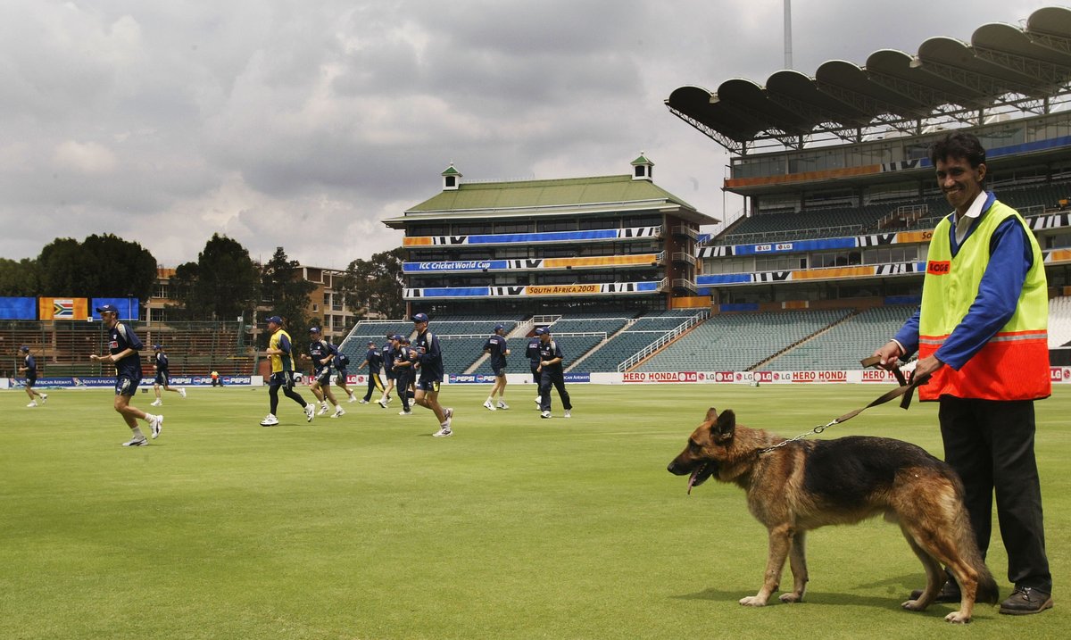 Doggos of cricket A thread 