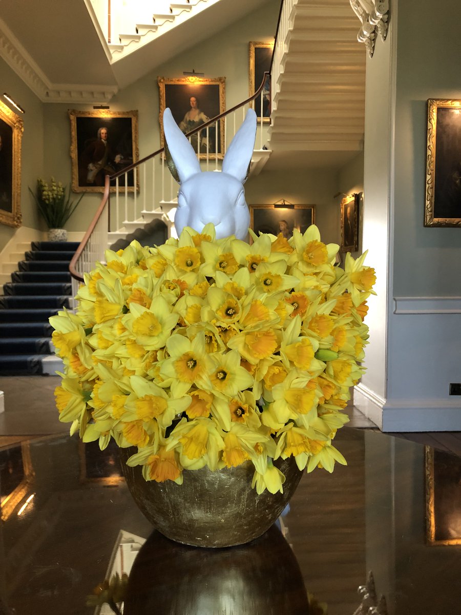 The sun is shining down on the House and the daffodils are in full bloom. All this beautiful weather has made us reminisce back to last year when Bruce the Bunny graced the hallway with his presence and put a smile on everyone's face who visited and celebrated at Norwood.