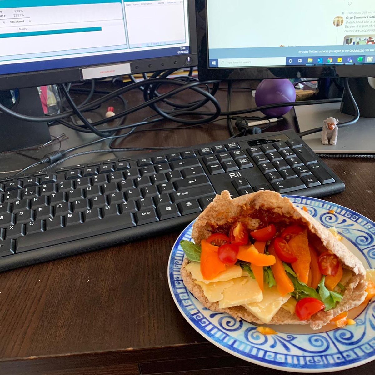 JAWsustain's tweet photo. A sneak peek into how some of the JAW team are getting on in their home offices! #workingfromhome #TeamJAW https://t.co/4mZNBYYNRK