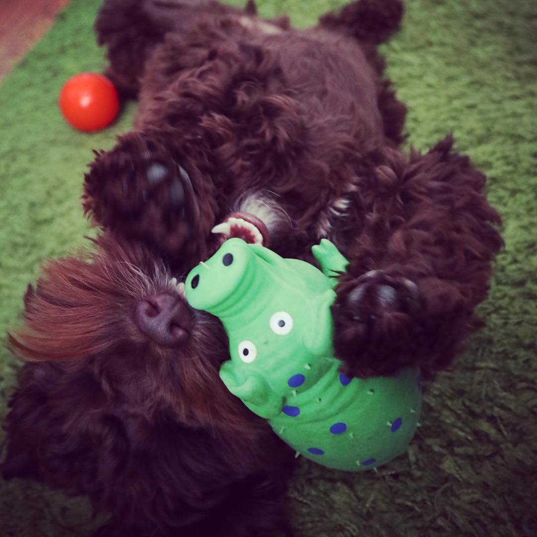 Dr Hazel Reade 🏳️🌈 tweet media