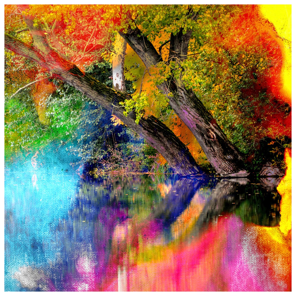 My new single ~ Primavera ~ is out today! Stream/download here: fanlink.to/prima :)
#lofi #lofibeats #chillhop #lofihiphop #chillout #relax #downtempo