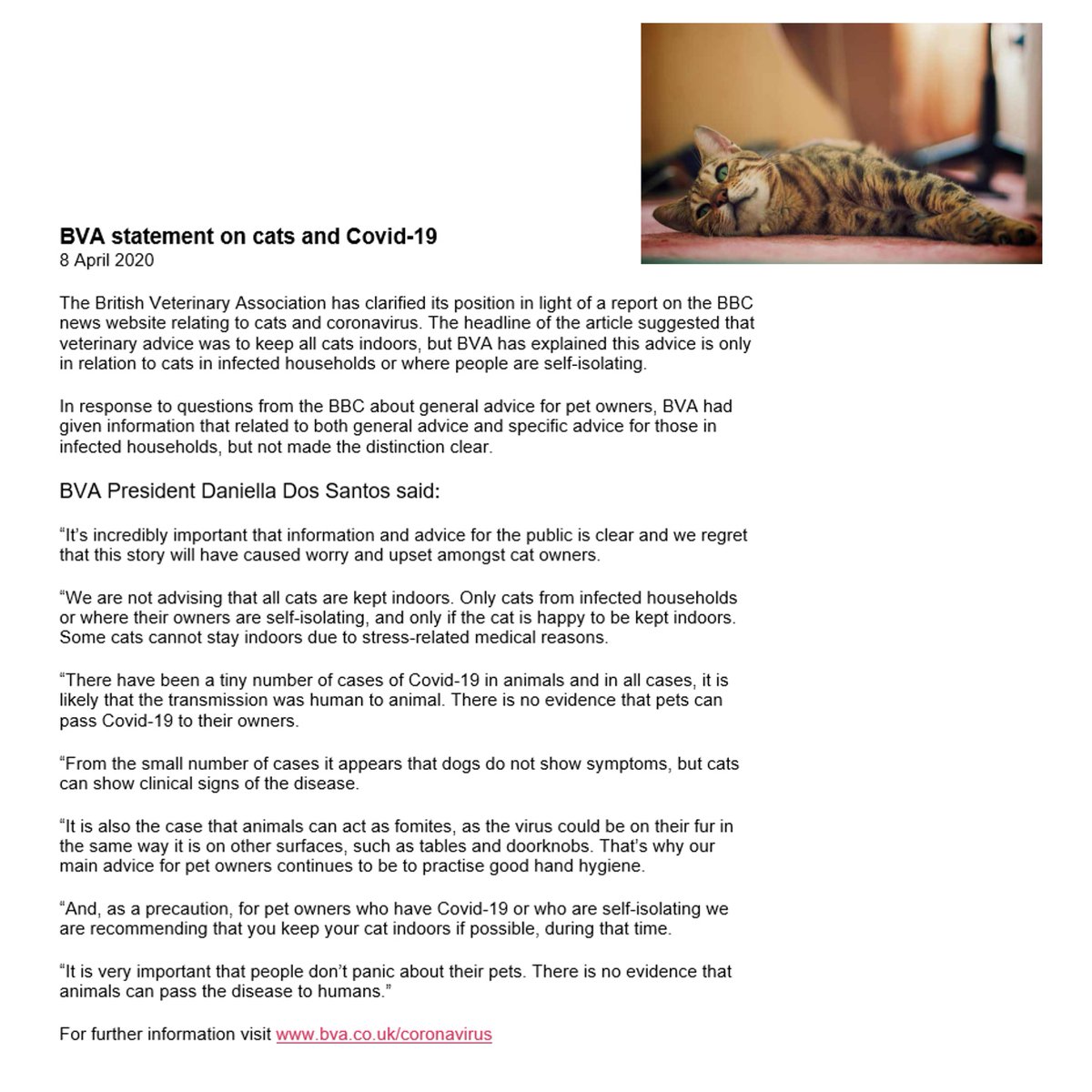 simondocvet's tweet photo. ***PLEASE RT ***
@BritishVets clarification on advice about cats. https://t.co/DXAZTpHI3k