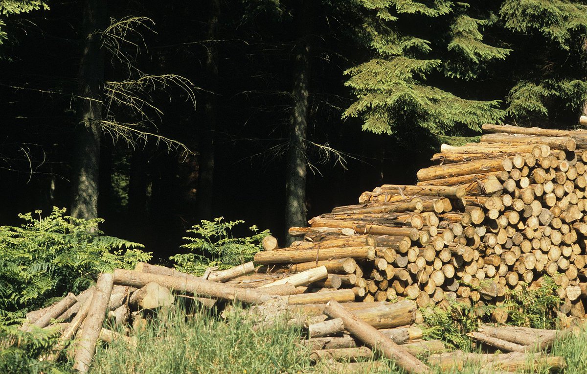 OlivROUSSET's tweet image. Les équipes de l&apos;@ONF_Officiel mobilisées pour fournir le #bois nécessaire à la production de #papier, matériau capital pour lutter contre la propagation du #COVID19 (papier d&apos;hygiène, certains masques ....).
#Occitanie #paca #papetier #onf