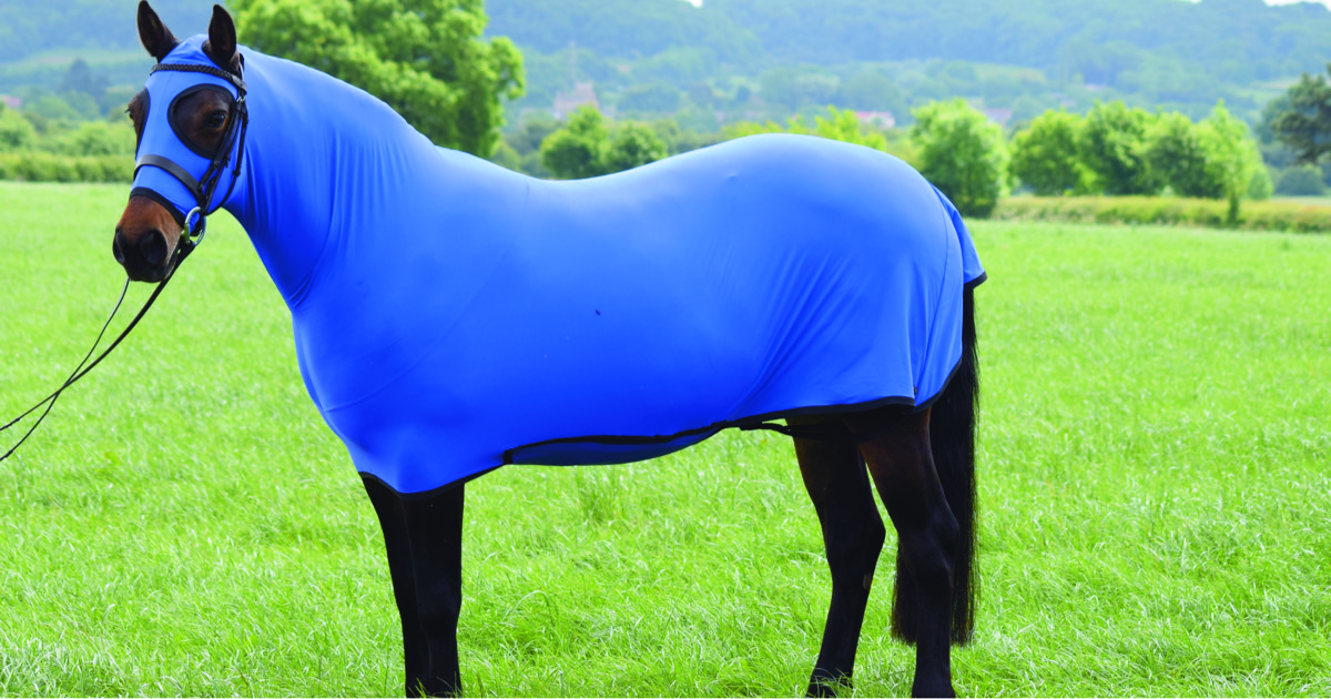 Easter Special Sale - All of our Honsies are on offer until midnight on Monday 13th April - Reduced to £70.00 + pp, that is 30% Off #honsie #equestriansale belvoirrugcompany.com/equine/