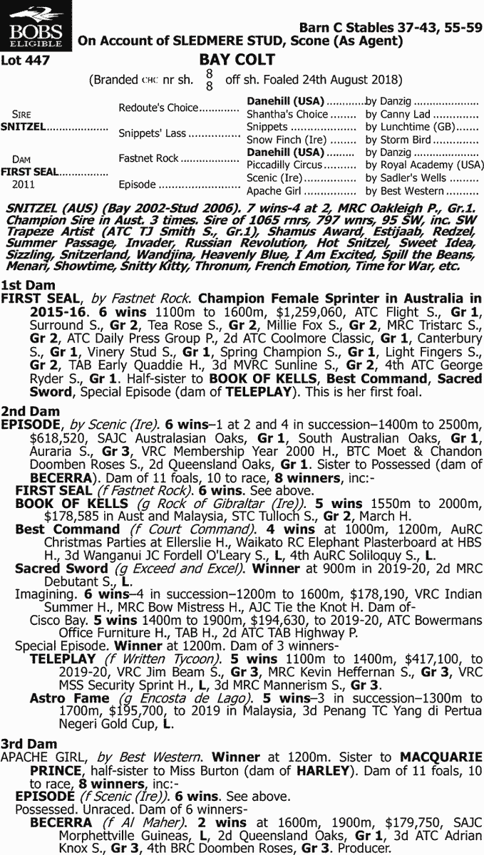 馬 Le Cheval♘♞ tweet media