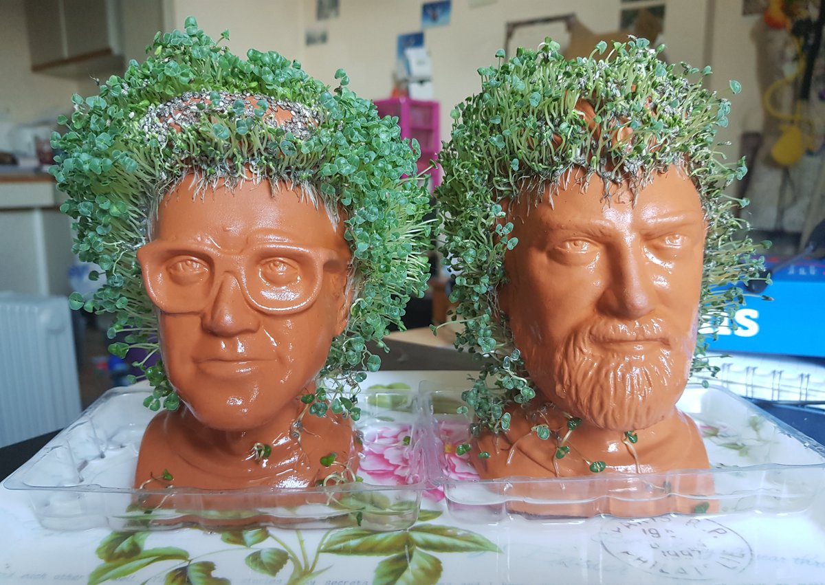 SquishyFishy9's tweet photo. Chia @LinkNeal has the volume but Chia @rhettmc has the length. His glorious chia hair is cascading down his neck.
#ApocalypsePals #CouldntFindAVolleyBall #MythicalSociety #ChiaPets https://t.co/VLZutju9Qp