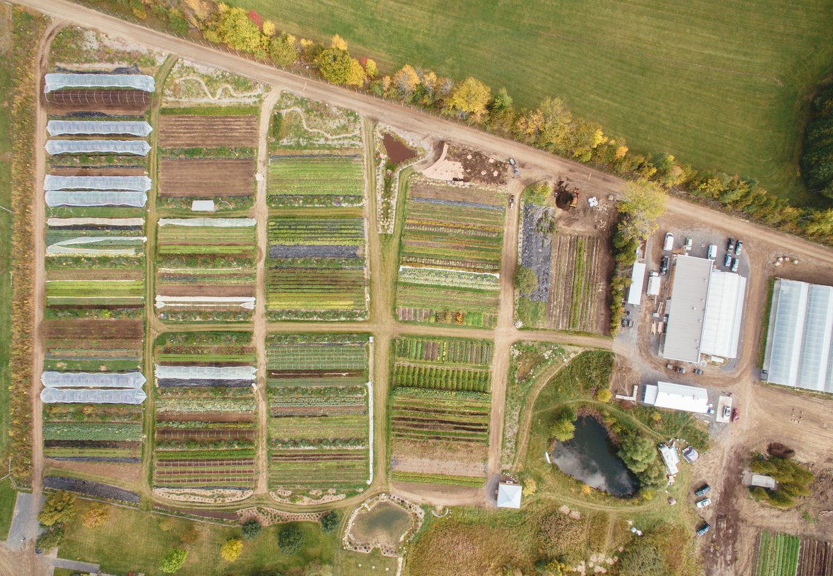 La era del petróleo barato se está acabando; esto aumentará la importancia de la #agriculturaecológica, artesanal y social, y el entusiasmo que esta genera. Ese día puede estar mucho más cerca de lo que pensamos. La #agriculturalocal tiene el poder de transformar la sociedad