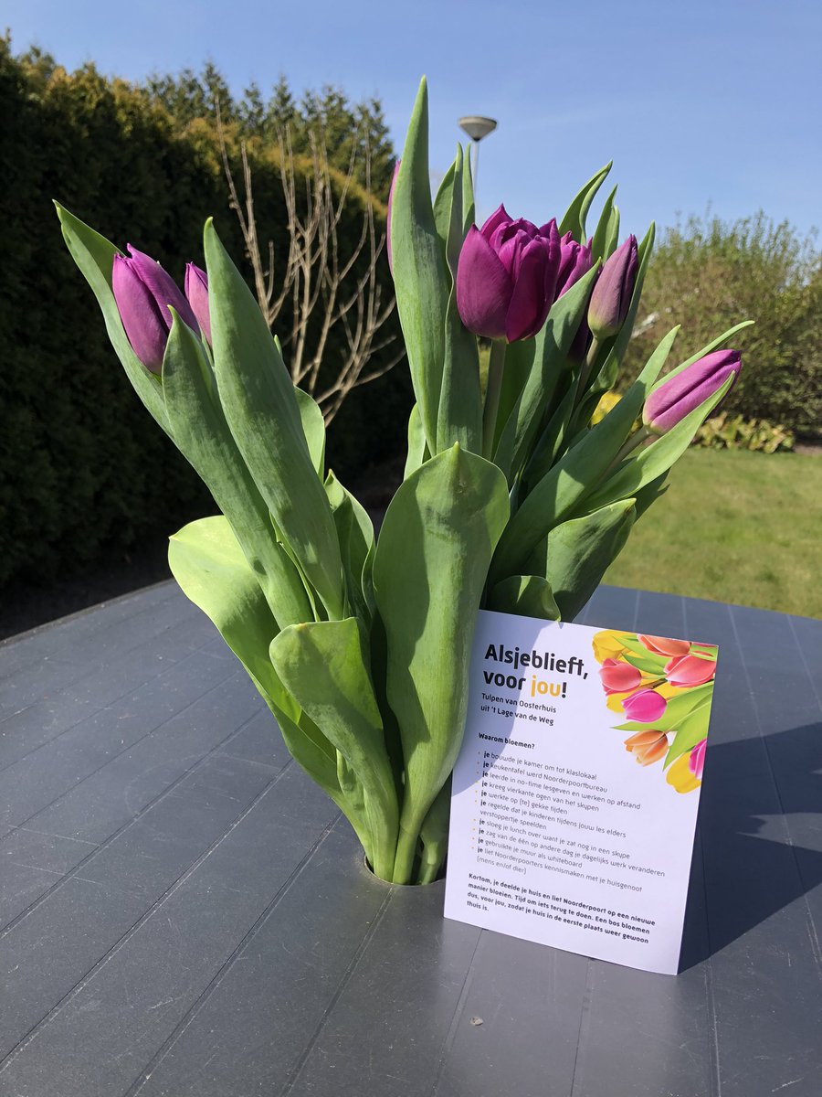 Mooi gebaar, tulpen van <a href="/Noorderpoort/">Noorderpoort</a>