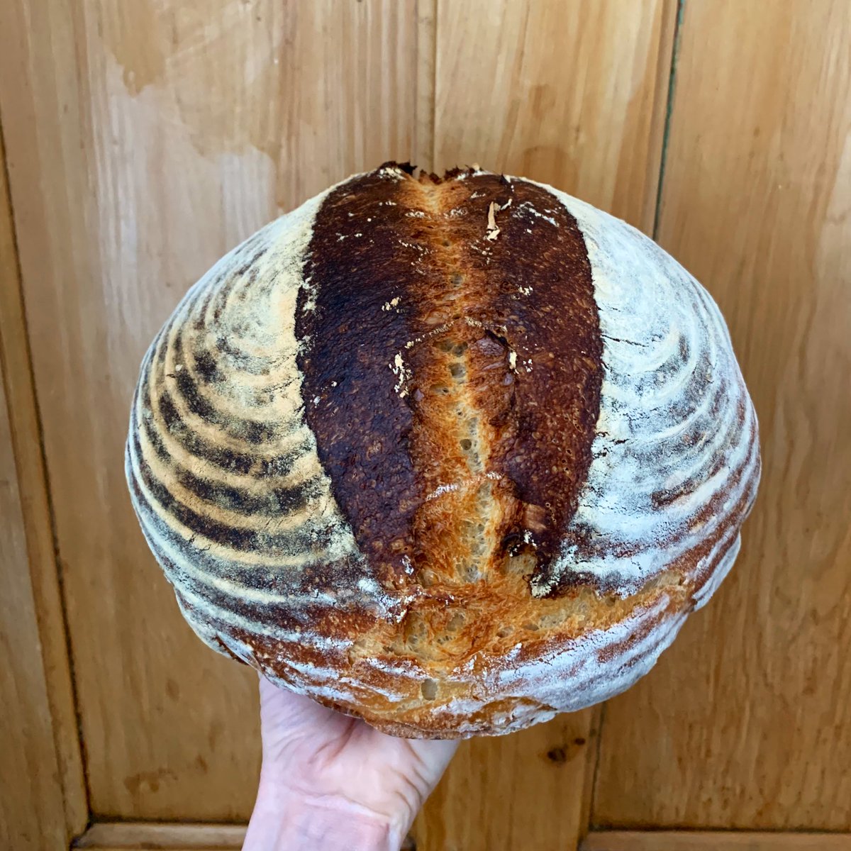 Two weeks ago, my friend Sarah gave me a sourdough starter. We’ve since set up a sourdough support Insta group called Kneads Must 💖 - a place to connect, share tips &amp; successes. It’s turned into a little project that keeps my brain 🧠 happy. What’s your therapy? #IsolationLife