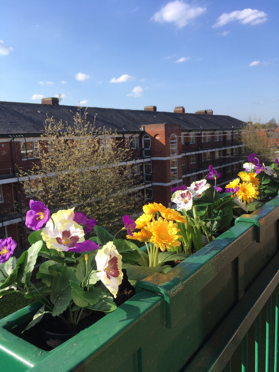 KarenBrackenri2's tweet photo. Getting some rays...plants 🌼🌺in my balcony box artificial from  @Tesco  #EveryLittleHelps #BetterThenNothing #DoesTheJob https://t.co/lBOxpdri97