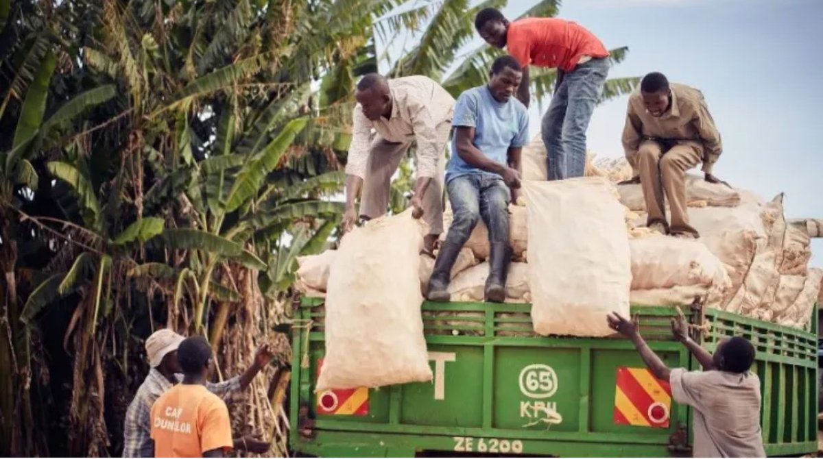 How to address the impact of #COVID19 on global #foodsystems devex.com/news/sponsored…  <a href="/devex/">Devex</a>