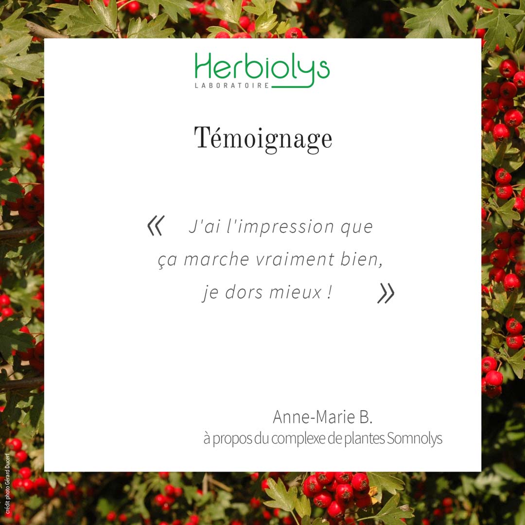 Témoignage d'Anne-Marie B. à propos du complexe de plantes fraîches Somnolys issu du laboratoire Herbiolys:
"J'ai l'impression que ça marche vraiment bien, je dors mieux !"

A découvrir ici :  ow.ly/Ms2T50yR0hv

#Herbiolys #bio #phytothérapie #gemmothérapie #sommeil #nuit
