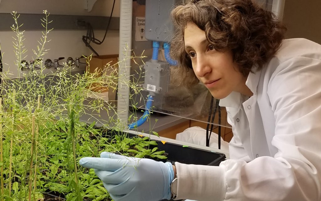 BiomimicryInst's tweet photo. What would you #asknature? Join @ciesfilm TODAY from 12pm to 1pm US EST, Live Q & A & discussion on the short film “#Biomimicry” with Alexandra Ralevski, Director, of @AskNatureTweets at the @BiomimicryInst:
https://t.co/4ZEsWk9Zoy
#CIES2020
#EdBeyondHuman https://t.co/lTFJb6FBAC
